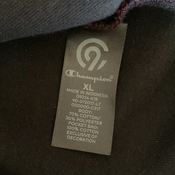 CHAMPION Bungee Draw chord Hooded Sweatshirt - Picture 6 of 9